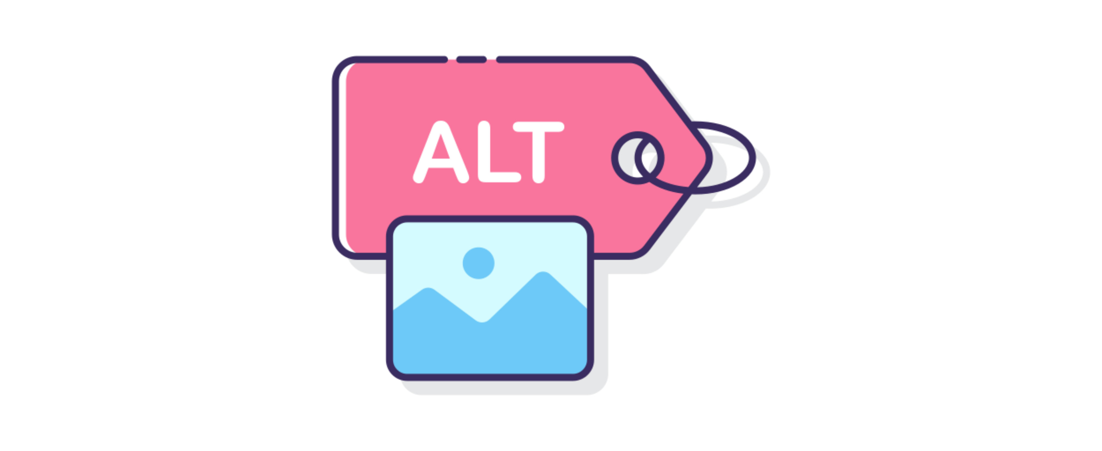 Alt text / Alt Tag / Text Attribute