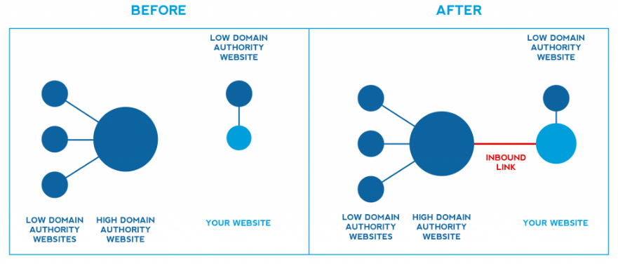 what is an authority website and how can I become one